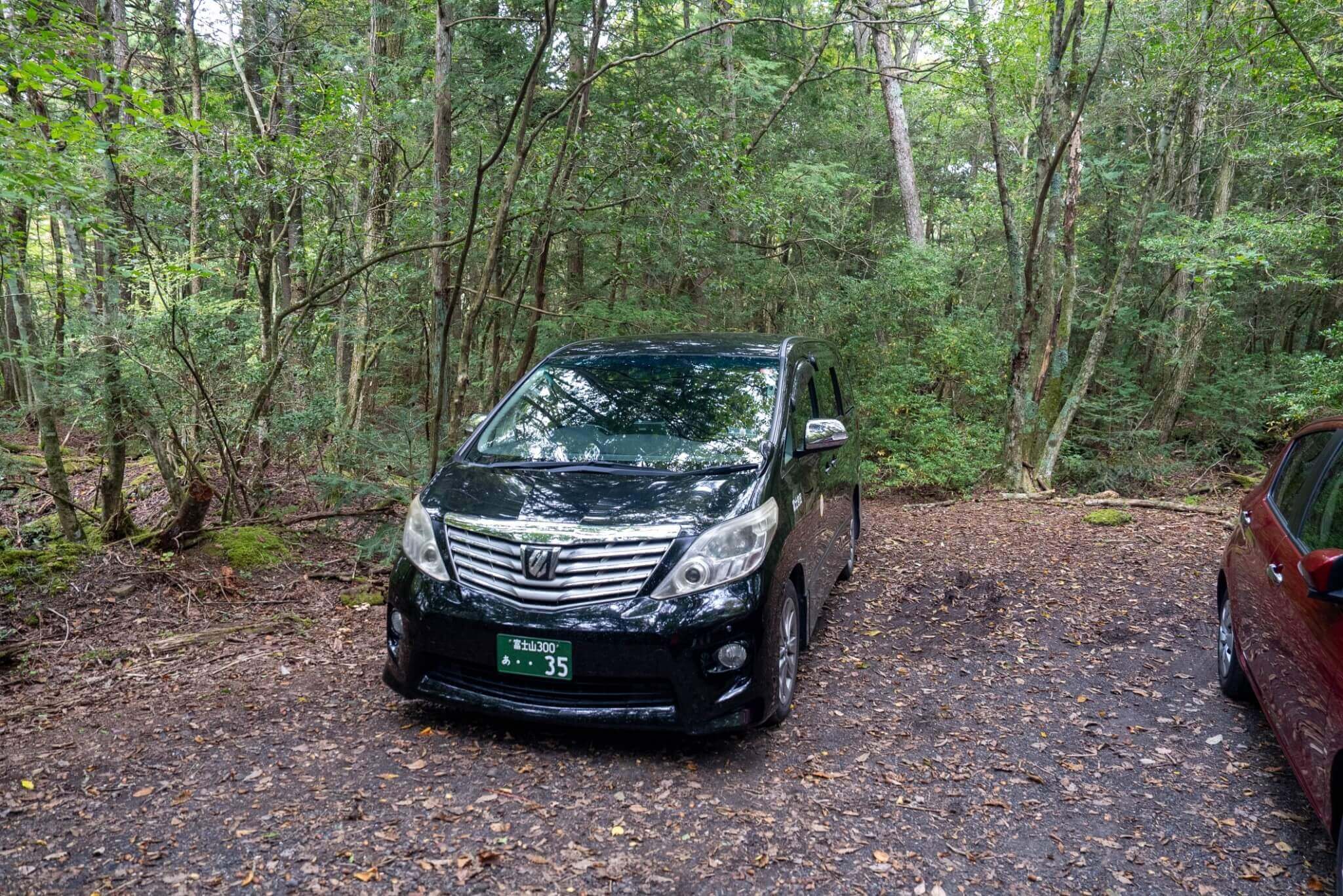 ・包車接駁的輕健行 專車接送不僅確保您在崎嶇的山路上獲得專業的駕駛保障，還能讓您輕鬆享受登山健行的樂趣。這種服務特別適合徒步不便的長輩或希望輕鬆健行的親子家庭，讓您在保留體力的同時體驗到山林的魅力，更能安心避開山上的雨天，保證每一段旅程的舒適與安全。