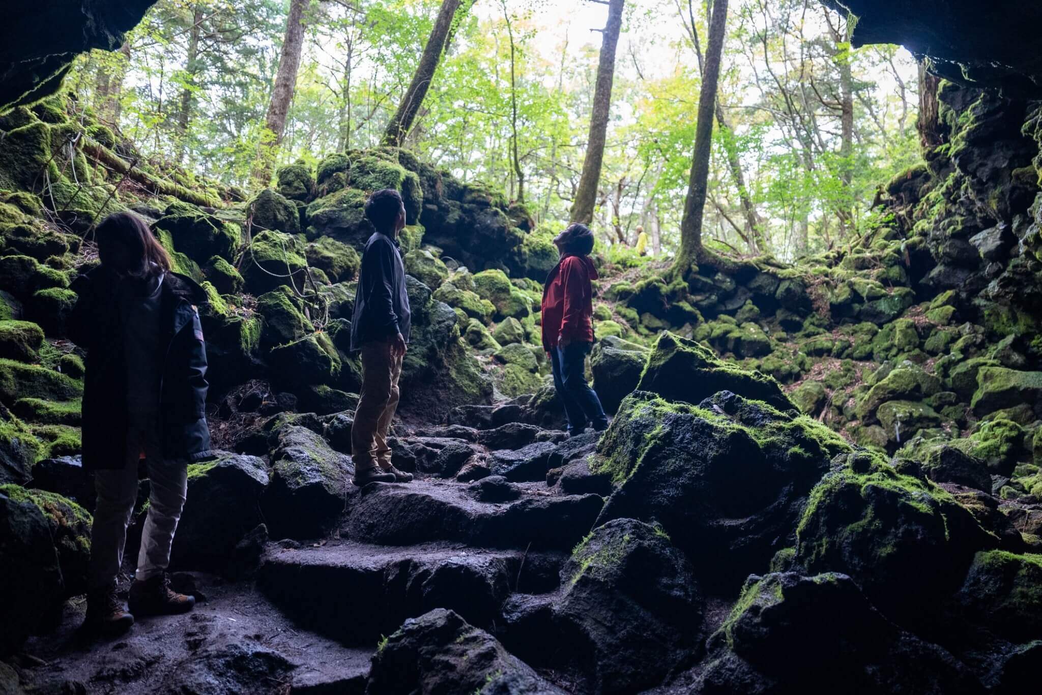 山林嚮導們帶領的富士山深度的健行 當您在觀賞藝術展覽，有導覽解說員才能更深入理解創作背景、藝術家的意圖和歷史脈絡。而富士山就宛如一座大型的自然藝術展覽，沒有引導，觀眾容易迷失在壯麗的山林中，忽略了那些隱藏的細節與故事。為了讓健行更具魅力，您將接觸到引導旅程的嚮導們，不僅有陪伴山友們一起徒步行動的山林嚮導說故事，或親自料理的當地美食的嚮導等，這趟旅程將體驗過往健行沒有過的探險氛圍，重新發現不登山頂的獨特魅力。