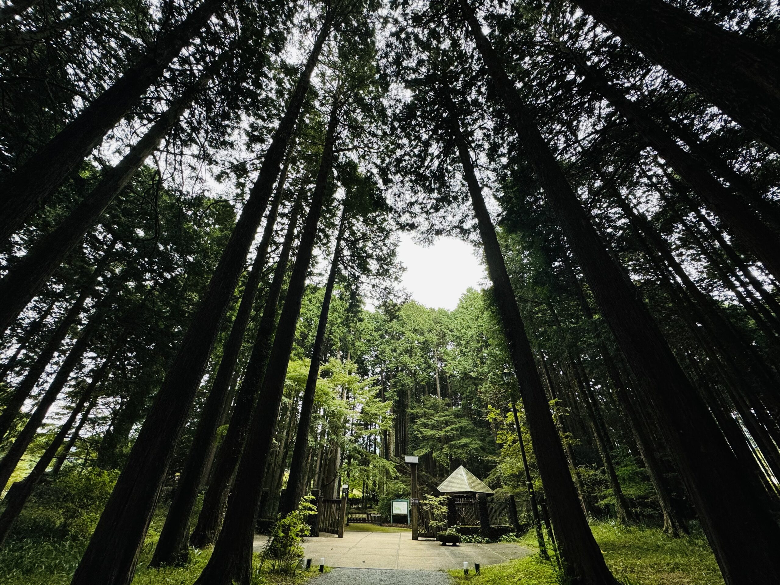 秩父宮紀念公園的面積達到5.95萬平方公尺的私人別墅