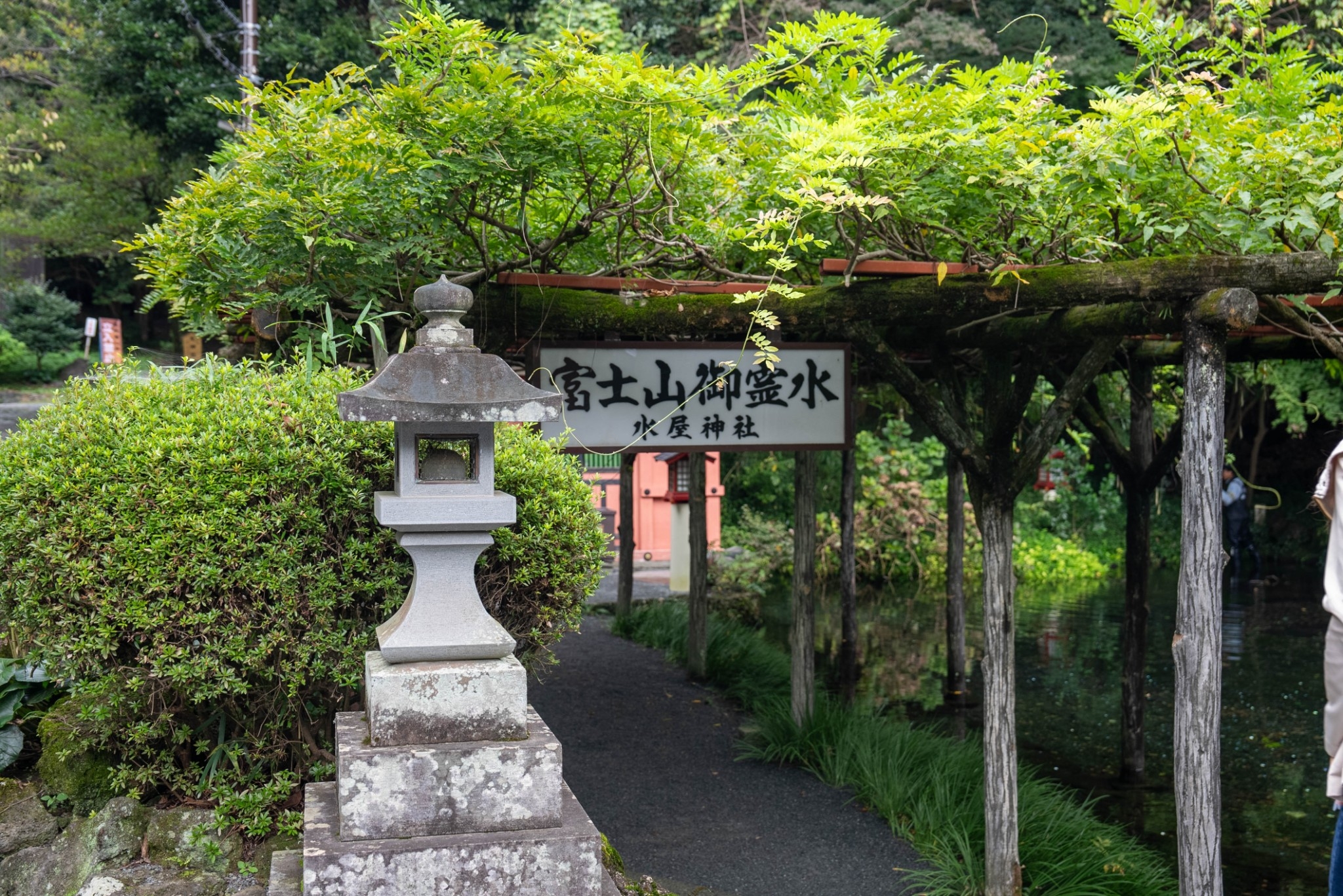 神社的湧玉池的清澈泉水全年水溫約13度