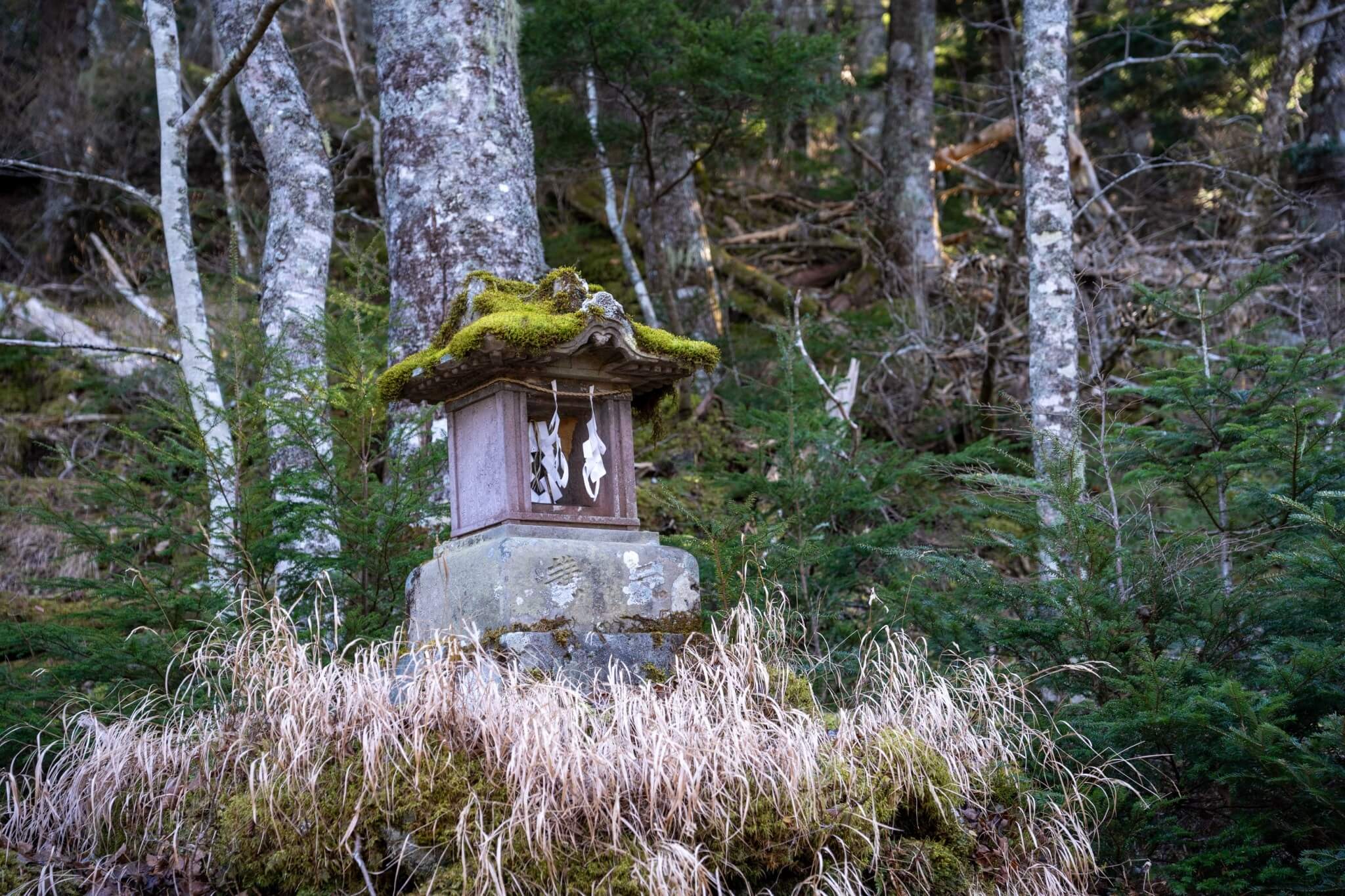 富士山古道健行文化遺產山林步道路線_歷史遺跡