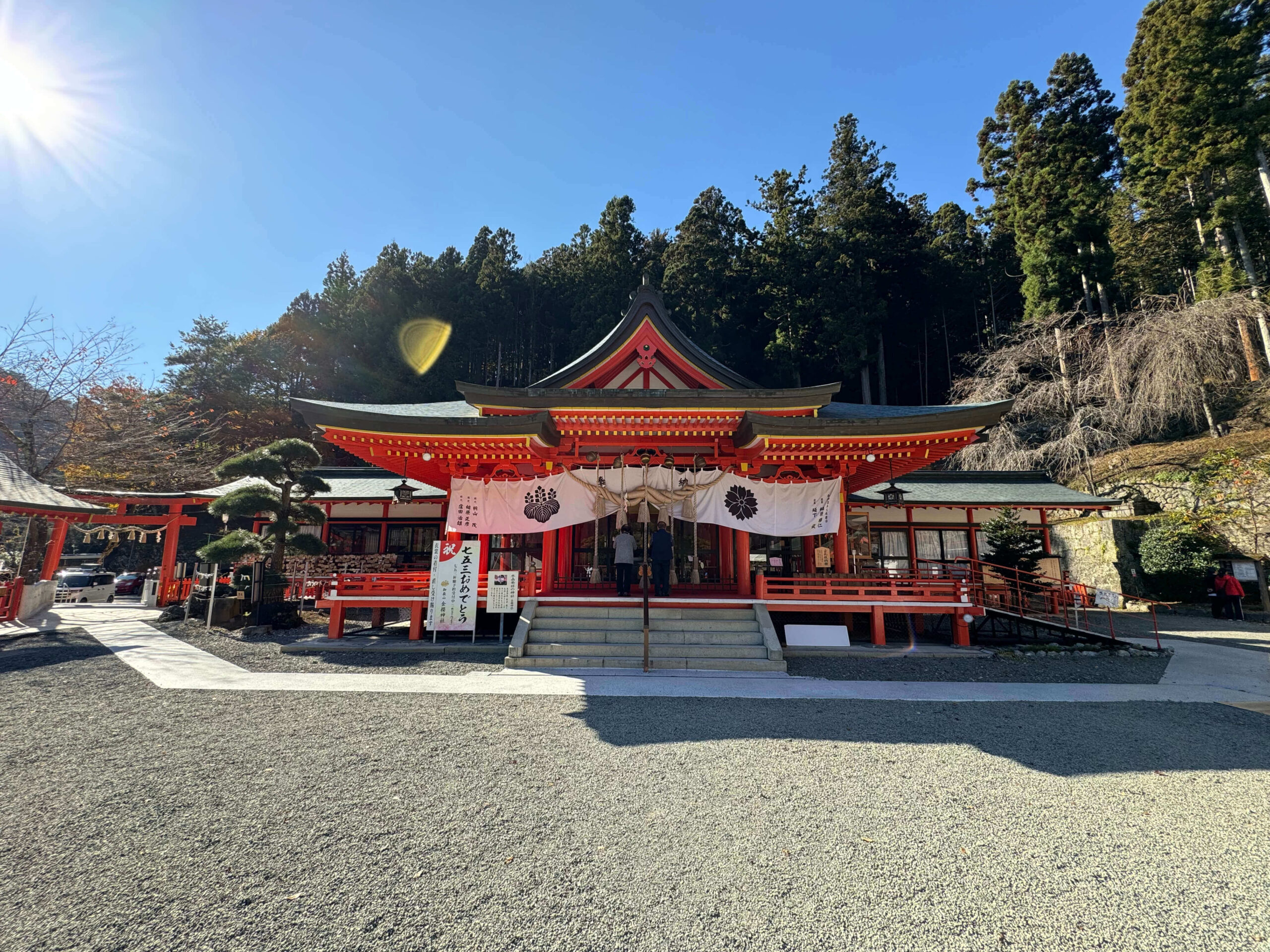 山梨縣古老神社之一金櫻神社，開滿金黃色花朵的櫻花樹