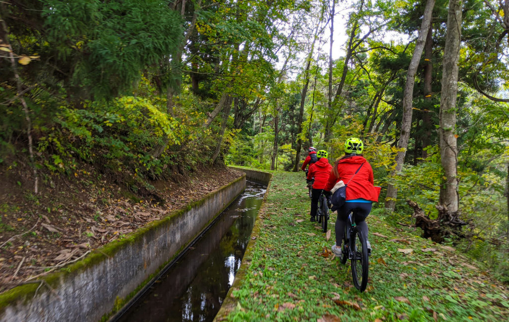 日本 長野 信濃町 自然 ebike