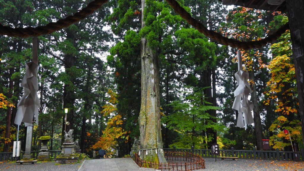 日本 長野 戶隱 神社 山岳 自然 BreatheTOKYO