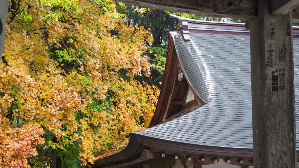 日本 長野 戶隱 神社 山岳 自然 BreatheTOKYO