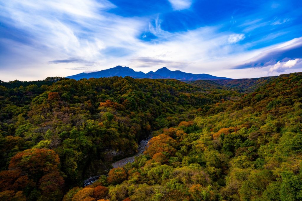 日本 山梨 八岳 紅葉 