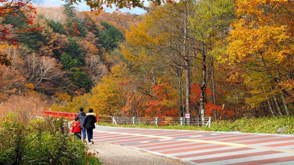 山梨 八岳 紅葉