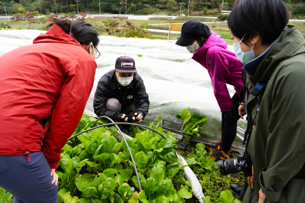 山梨 八岳 有機 蔬菜