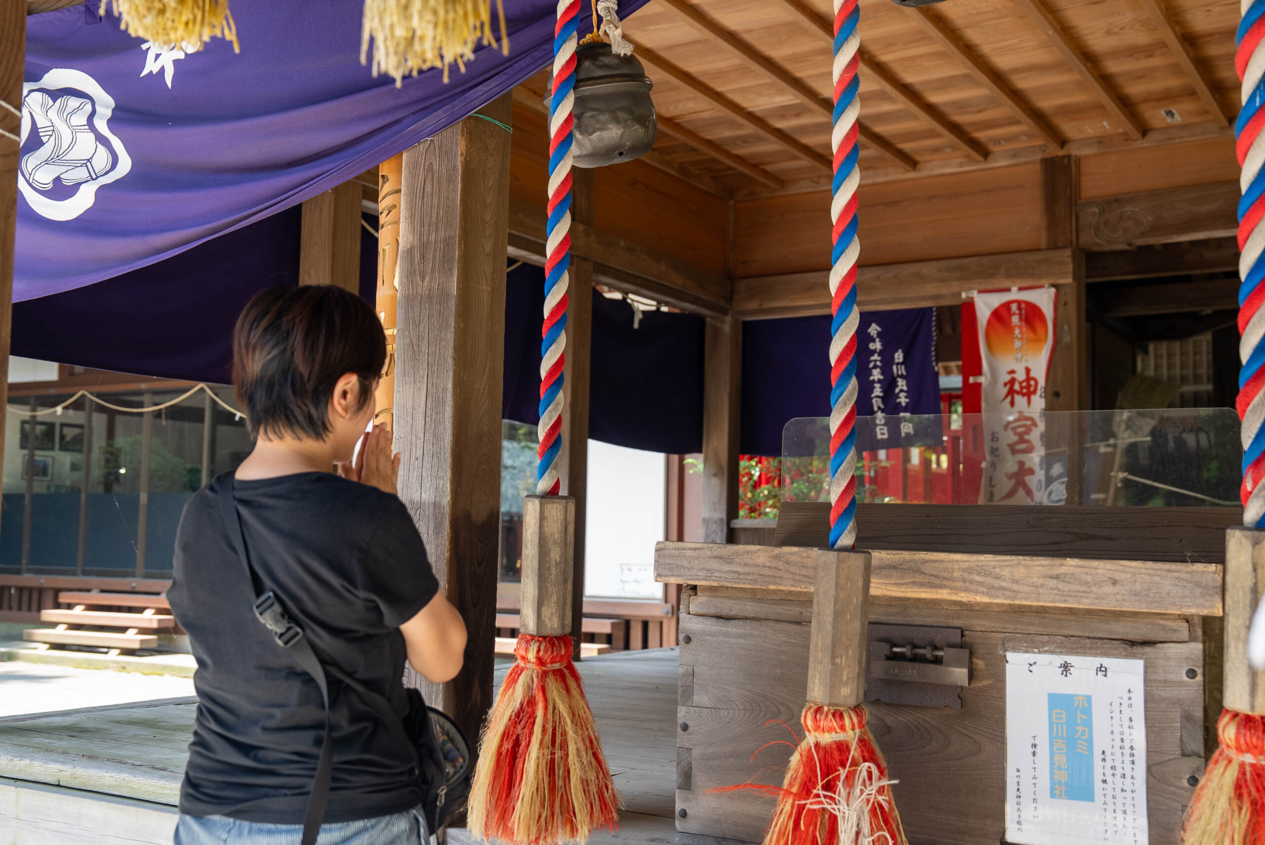 熊本南阿蘇白川吉見神社，參拜祈福體驗，傳統日本神社文化。