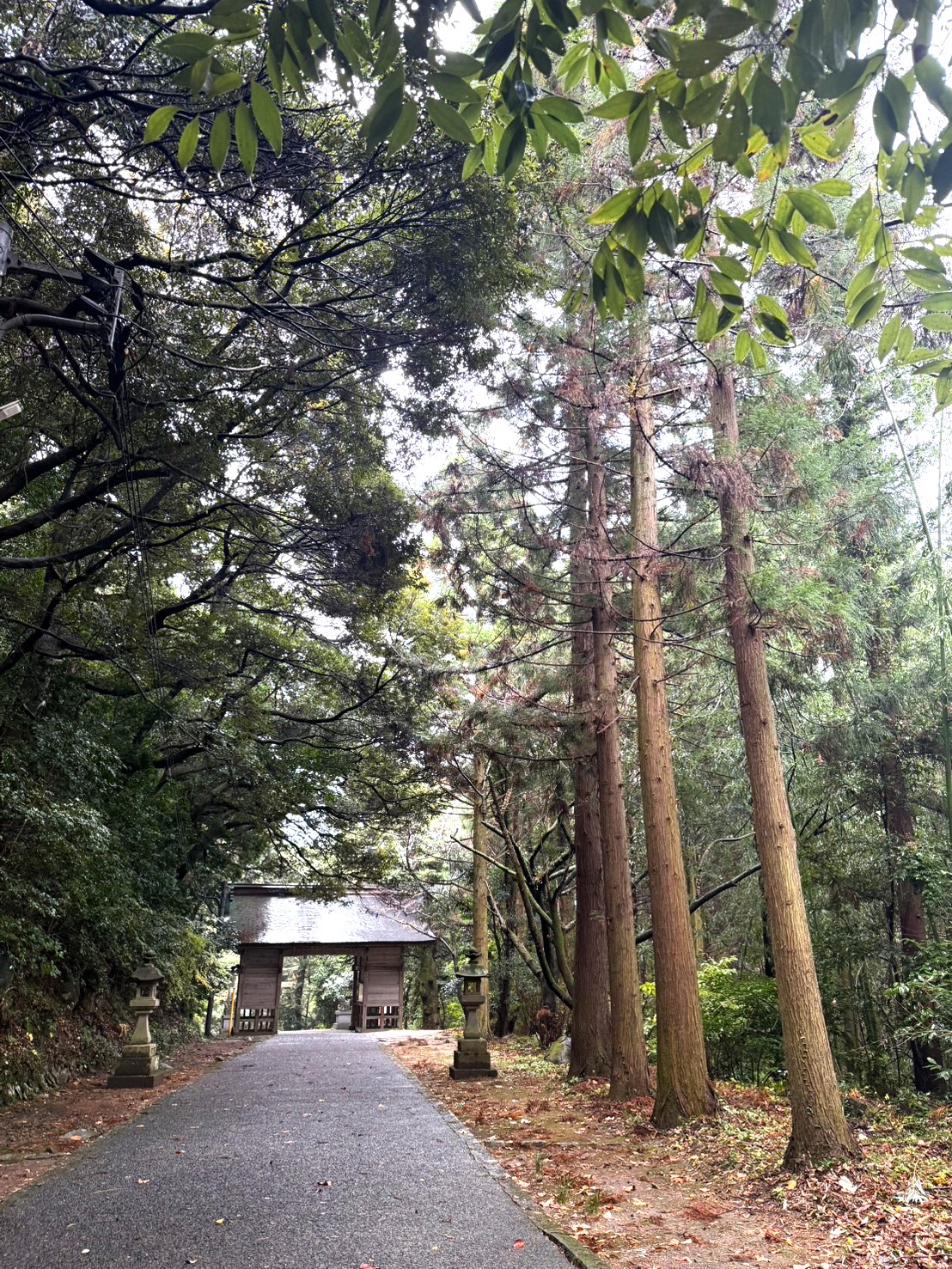 「倭文神社」相傳在神社境內的山林中,有長久以來被視為祭神「下照姬命」的墓地,