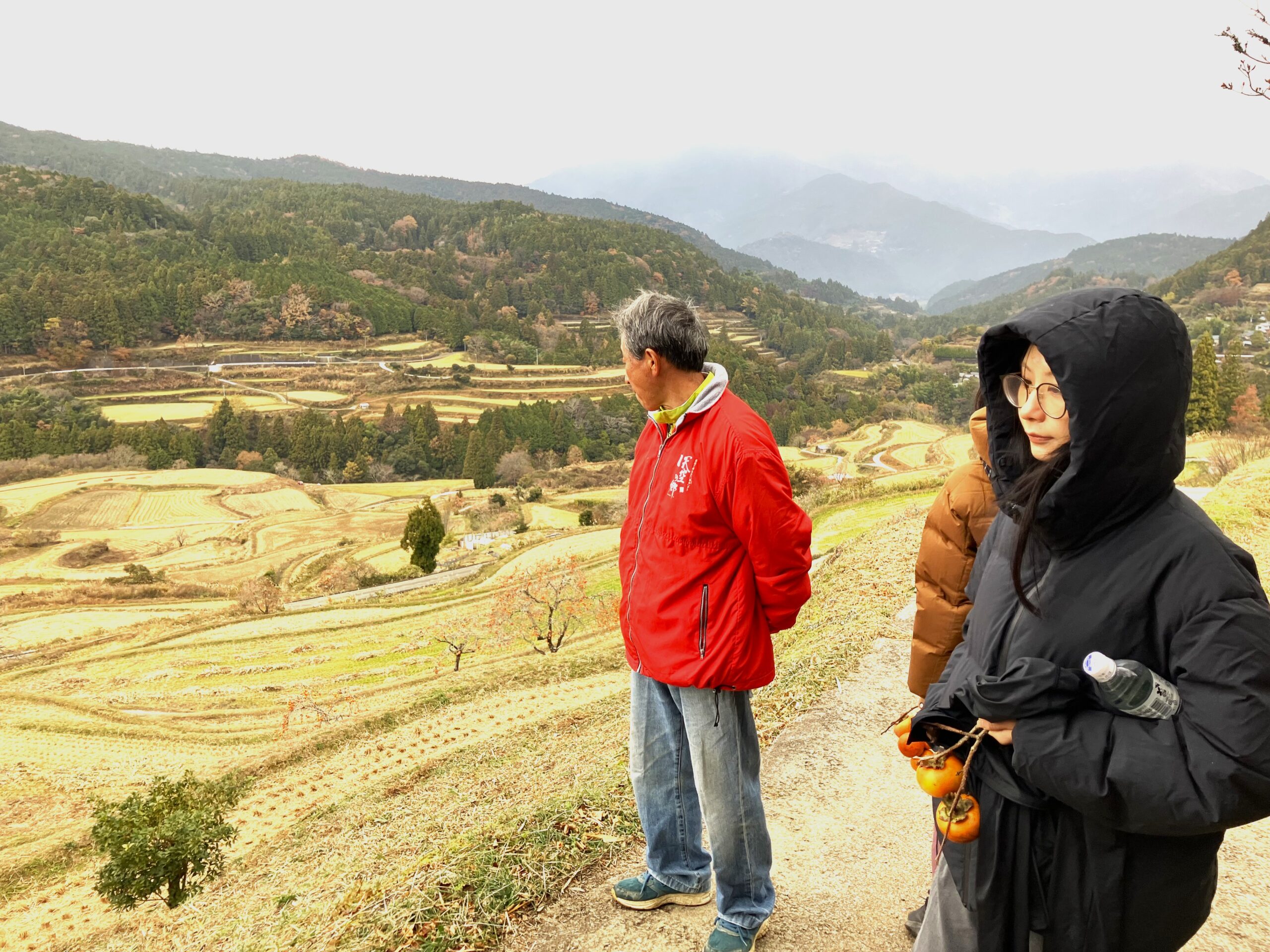 已經收割完畢的吉延梯田