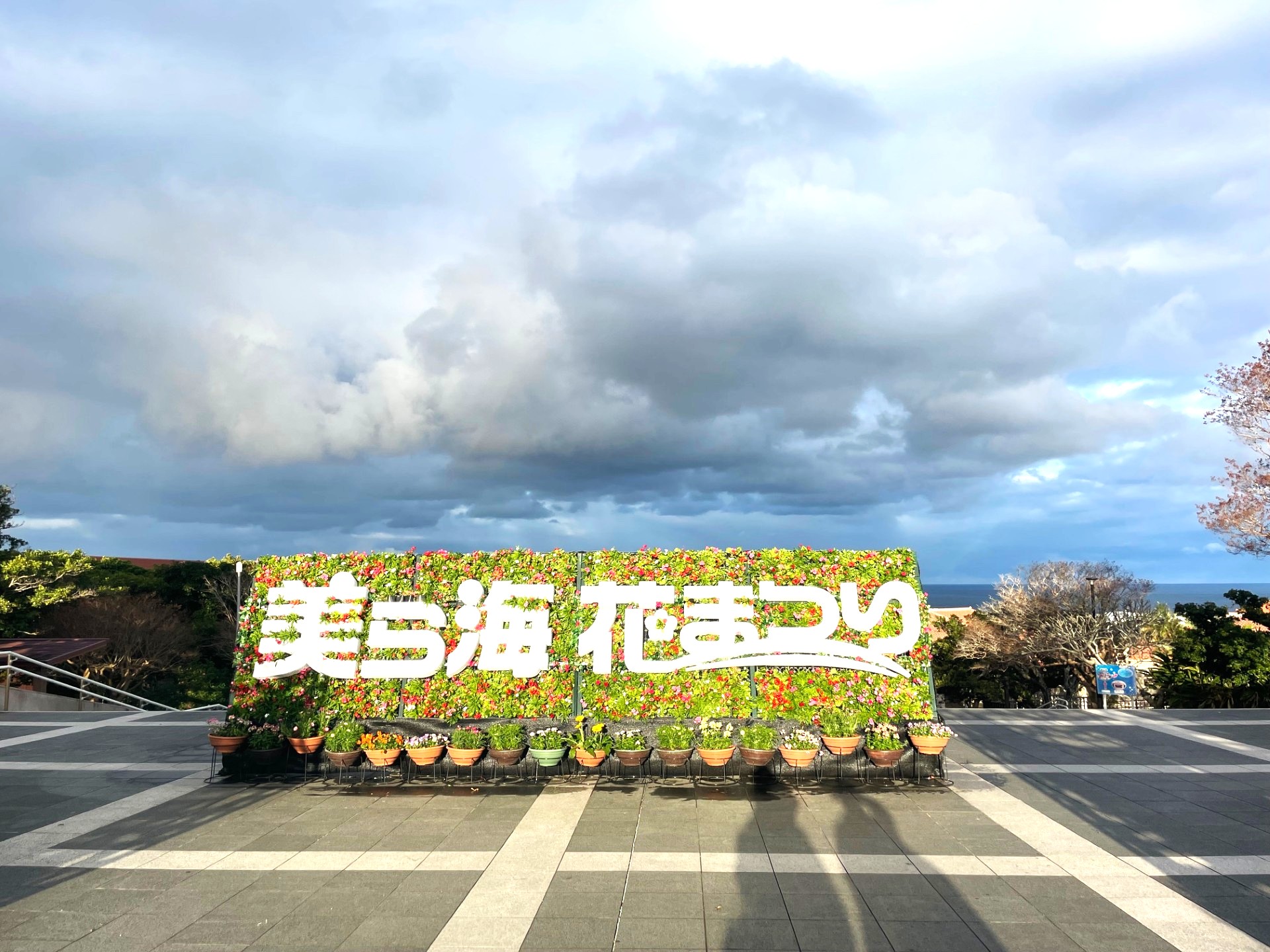 美麗海洋花卉節（美ら海花のまつり）活動會場花卉展示